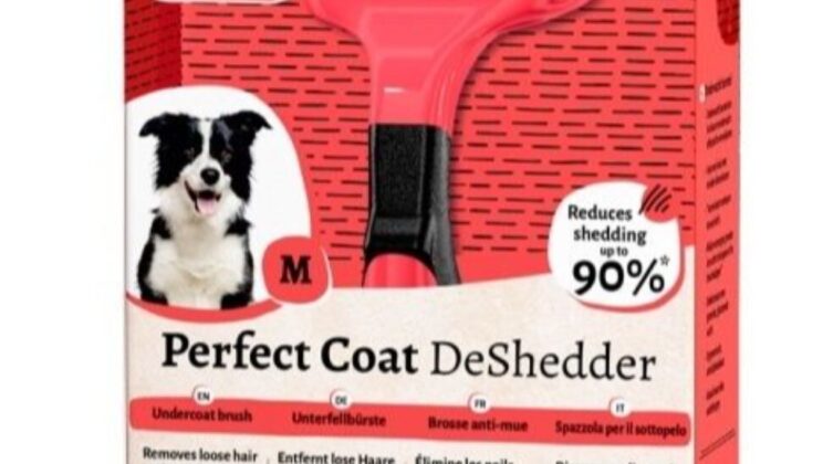 Фурминаторы для собак: эффективное решение против линьки в Екатеринбурге