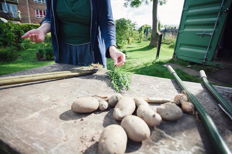 Как залить дорожки на даче из бетона с фото своими руками