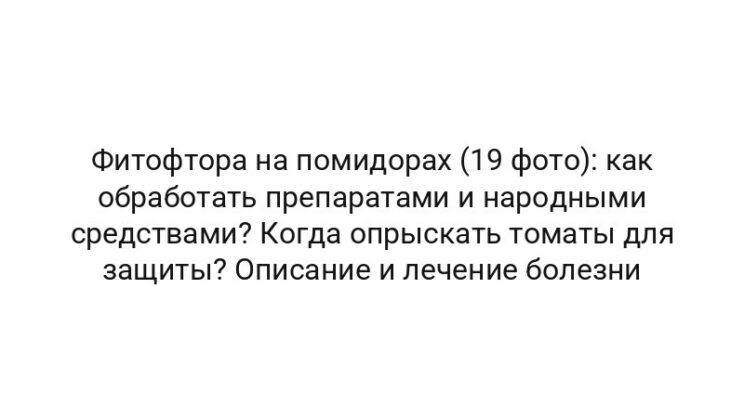 Фитофтора на помидорах (19 фото): как обработать препаратами и народными средствами? Когда опрыскать томаты для защиты? Описание и лечение болезни