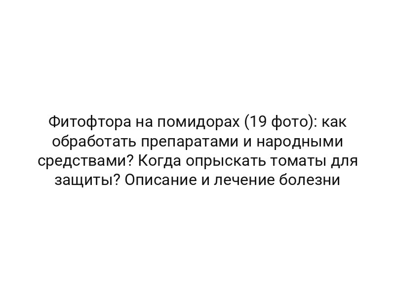 Фитофтора на помидорах (19 фото): как обработать препаратами и народными средствами? Когда опрыскать томаты для защиты? Описание и лечение болезни